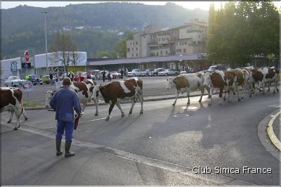 Troupeau bucolique